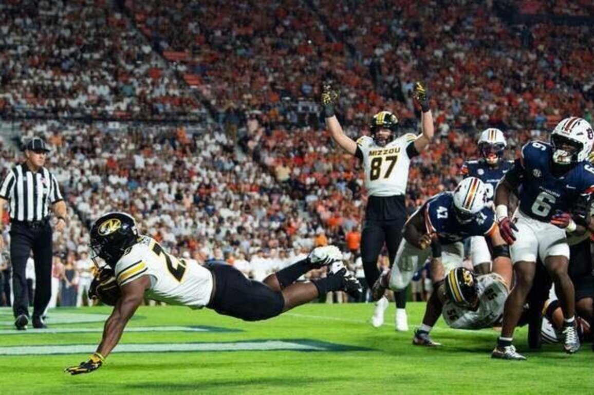 Everything you need to know about the Gator Bowl