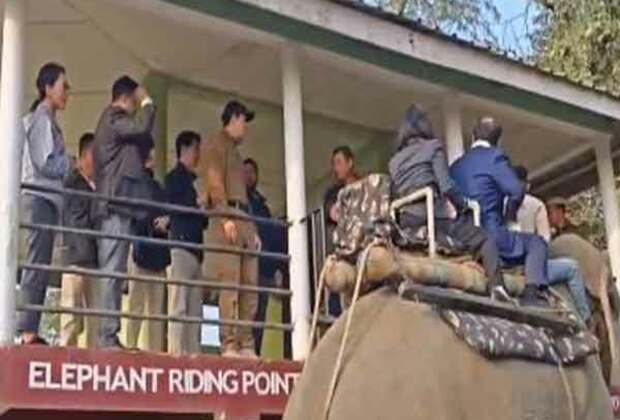 Delegates from South Korea, Taiwan and Philippines enjoy an elephant safari on sidelines of Advantage Assam