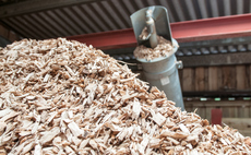 'Its future potential is extraordinary': What is in the UK's new Biomass Strategy?
