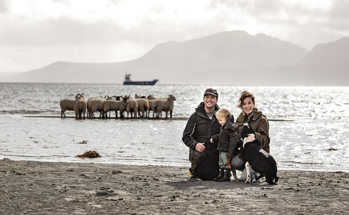 Emma Gray's farming life: "Frustratingly slaughter does seem to be where the organic system can trip up"