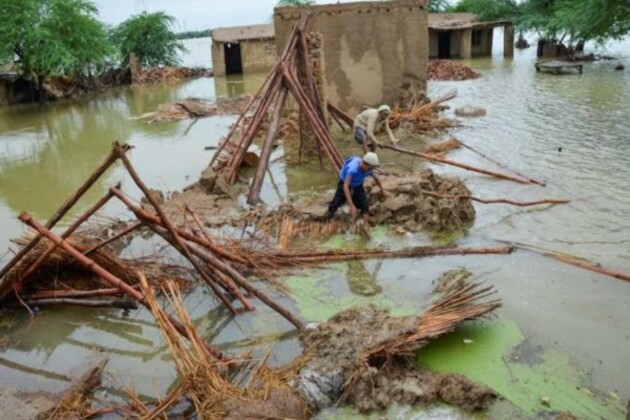 Death toll rises to 216 as monsoon wreaks havoc in Pakistan
