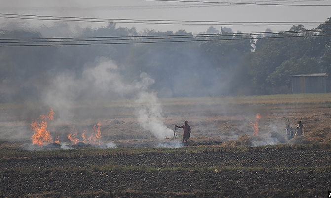 Indian farmers step up illegal fires as Delhi air crisis worsens Indian farmers step up illegal fires as Delhi air crisis worsens