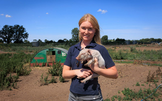 Young pig farmer creating her own success story at 23