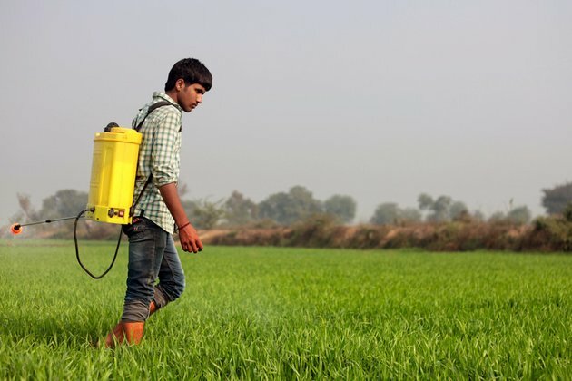 Russia becomes India&#039;s top fertilizer supplier Reuters