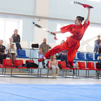 (SP)RUSSIA-VLADIVOSTOK-MARTIAL ARTS COMPETITION