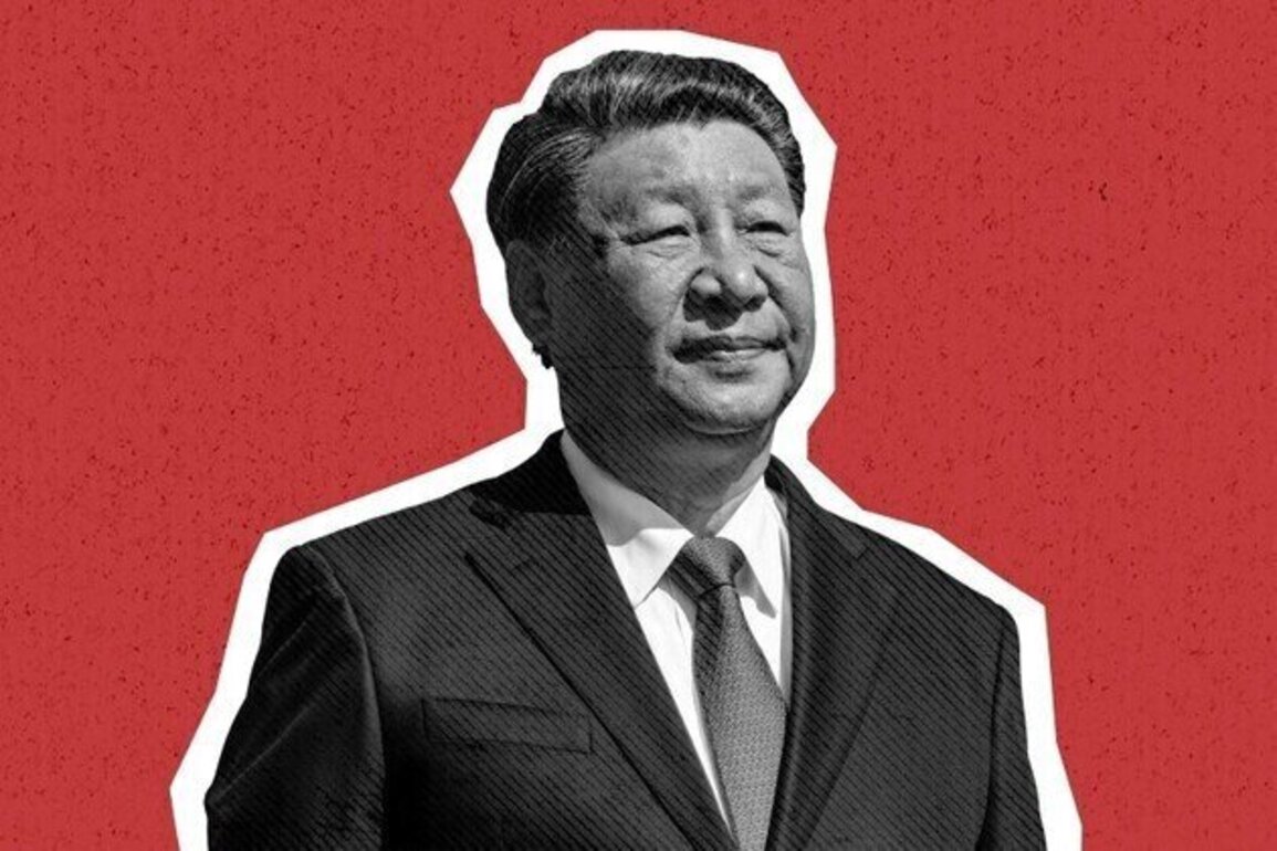 Opinion  Chinas Expanding Security Footprint in Africa