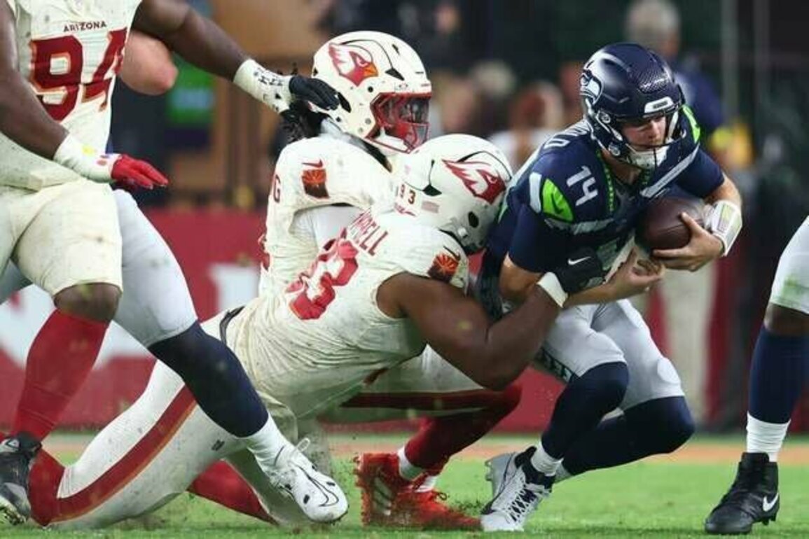 Seahawks survive Cardinals' late rally, win on last-second FG