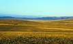 Laying tracks in Mongolia