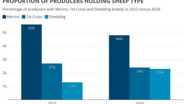 Episode 3 says the make up of the Australian sheep flock is changing. 