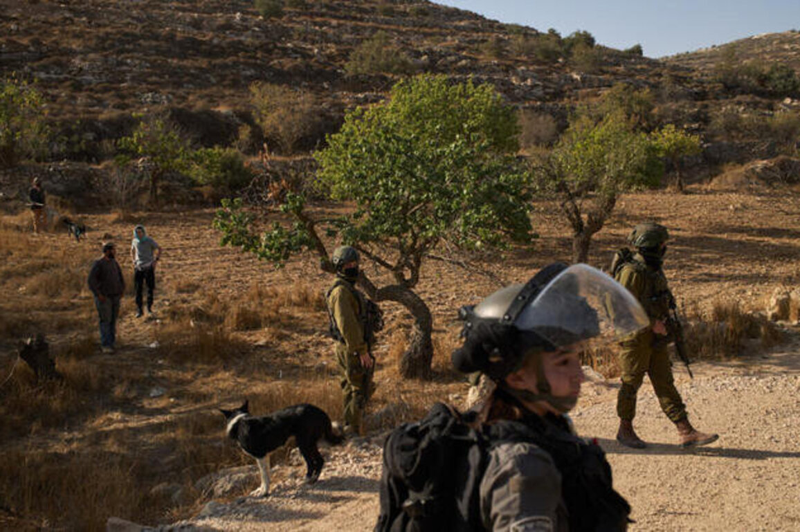 Dozens of Israeli settlers attack Palestinian villages in West Bank
