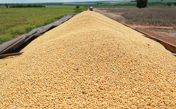Trailer of a truck fully loaded with soybeans | Credit: iStock