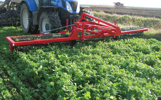 Growers urged to consider herbicide compatibility when companion cropping