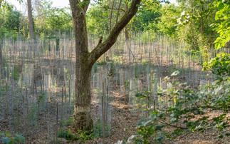 30x30: Is the government's ambitious nature conservation goal still achievable?