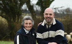 SHEEP SPECIAL: World wide success for Welsh Hampshire Down flock