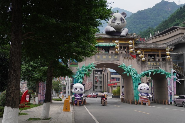 CHINA-SICHUAN-BAOXING-GIANT PANDA ANCIENT TOWN (CN)