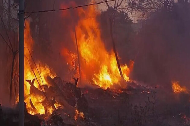Delhi: Fire breaks out at vacant plot in Shaheen Bagh area