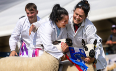 Building Hassockrigg: Sophie McCarlie's journey from first gimmers to Highland Show glory
