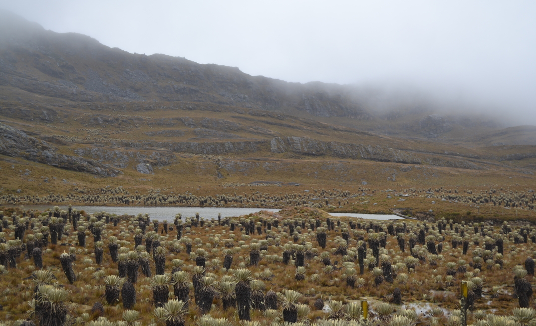 The Santurbán Páramo in Colombia