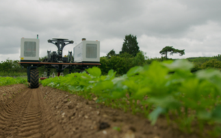 Robot-farmed, low carbon parsnips to go on sale in select M&S stores