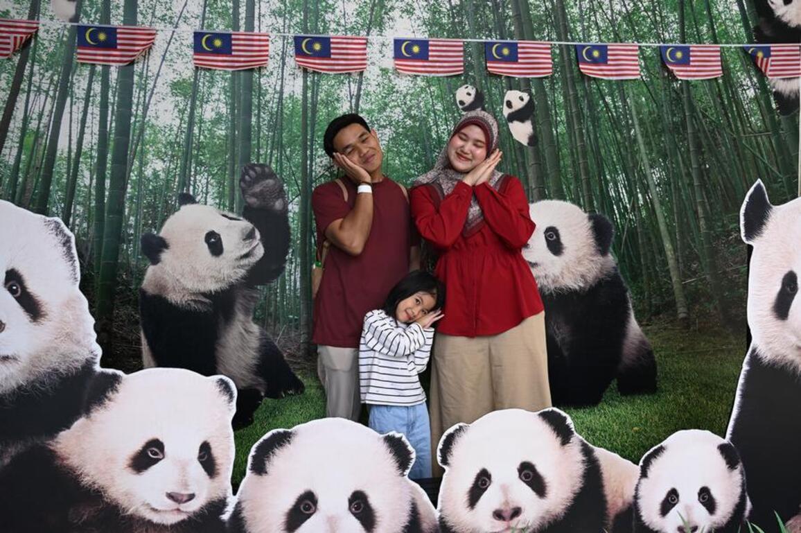 Asia Album: Malaysians get first glimpse of new giant panda pair