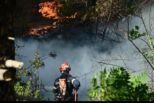 Heat, drought, negligence: drivers of Europe's 2025 wildfire crisis