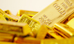 Gold squarely in focus