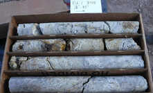 Drill core from Silver Cliff