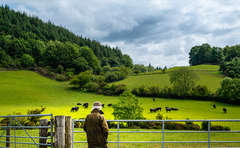 Farmers' views sought on current mental health challenges in farming