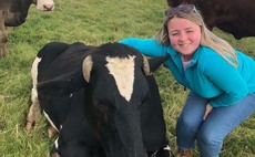 Next gen key to family farm's future - 'We want to keep building up the pedigree Shorthorns  that is a big goal for me and my dad'
