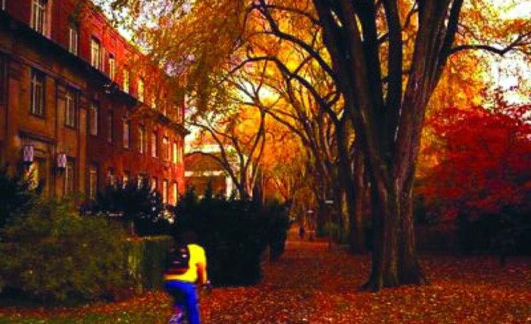 West Virginia sets the standard for diesel emissions