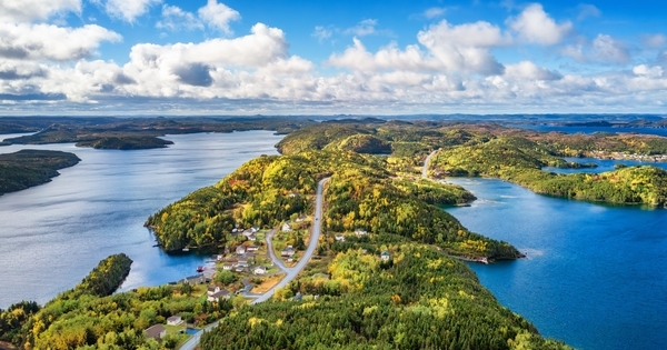 Newfoundland opening up?