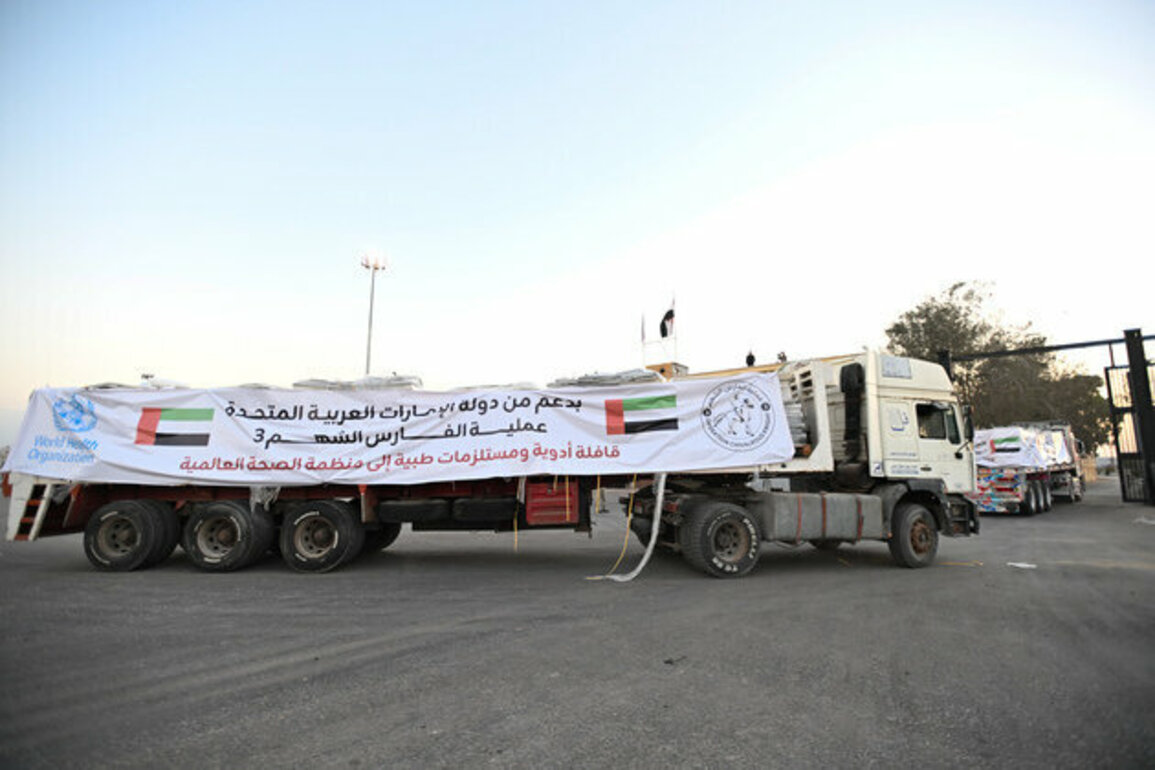 UAE extends support to Gaza's health sector through aid convoy as part of Operation Chivalrous Knight 3