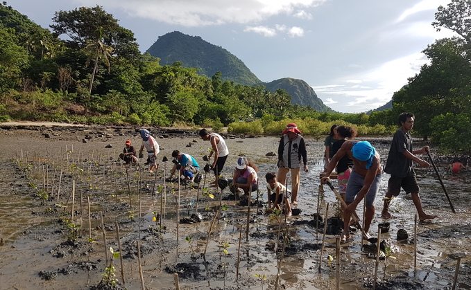 Mangrove planting | Credit: Zoological Society of London 