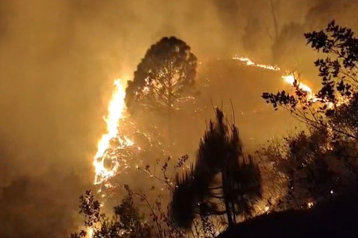 Uttarakhand: 20 forest fire incidents reported in Rudraprayag, 15 hectares affected