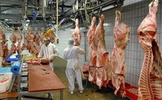 UK's 'fragile' food system exposed by £5bn influx of meat imports, report reveals