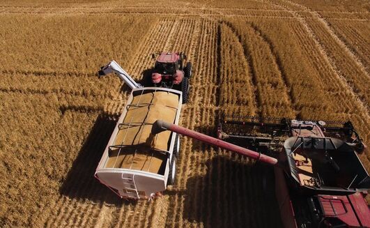 ABARES predicts farm profits will drop significantly in 2026-27. 