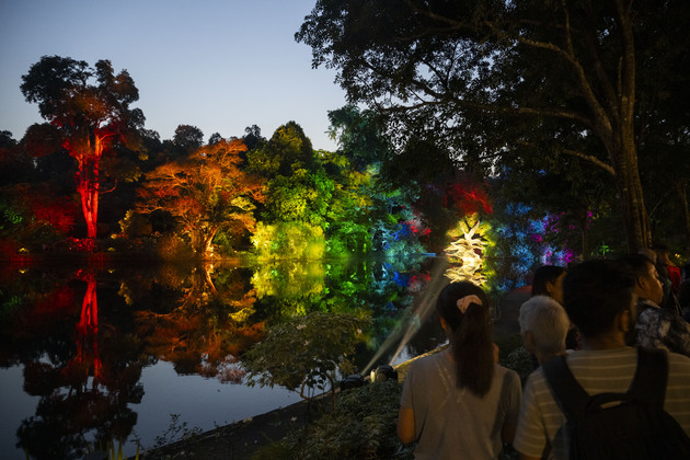 SINGAPORE-BOTANIC GARDENS-LIGHT SHOW