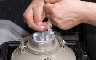 Fertility and forced culls: What farmers need to know 