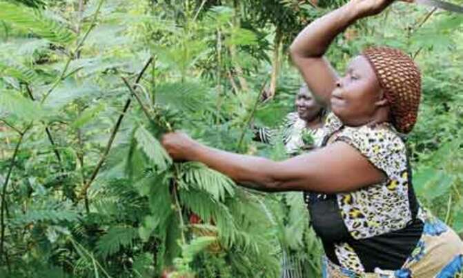 Mukuwa makes dreams come true for Mbale's humble women Mukuwa makes dreams come true for Mbale's humble women