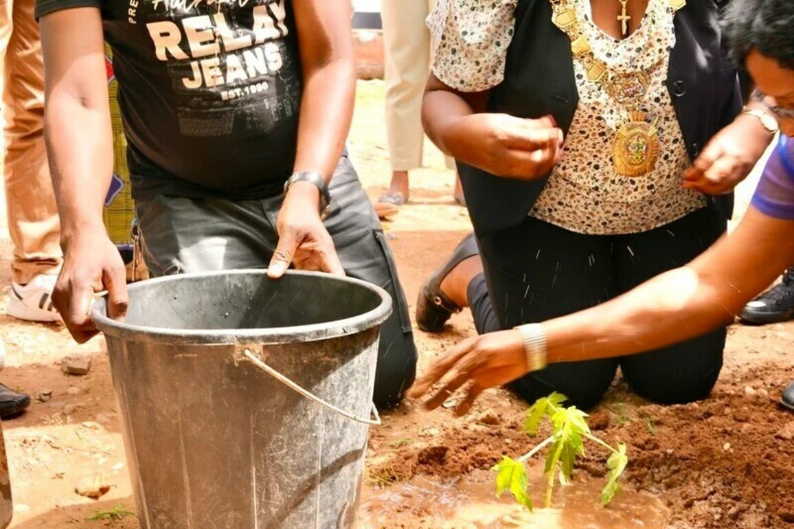 Lusaka Mayor Champions Green Furure With WVD Zambia On Earth Day