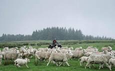 Farm Safety Week Blog: Safety tips for quad bike users