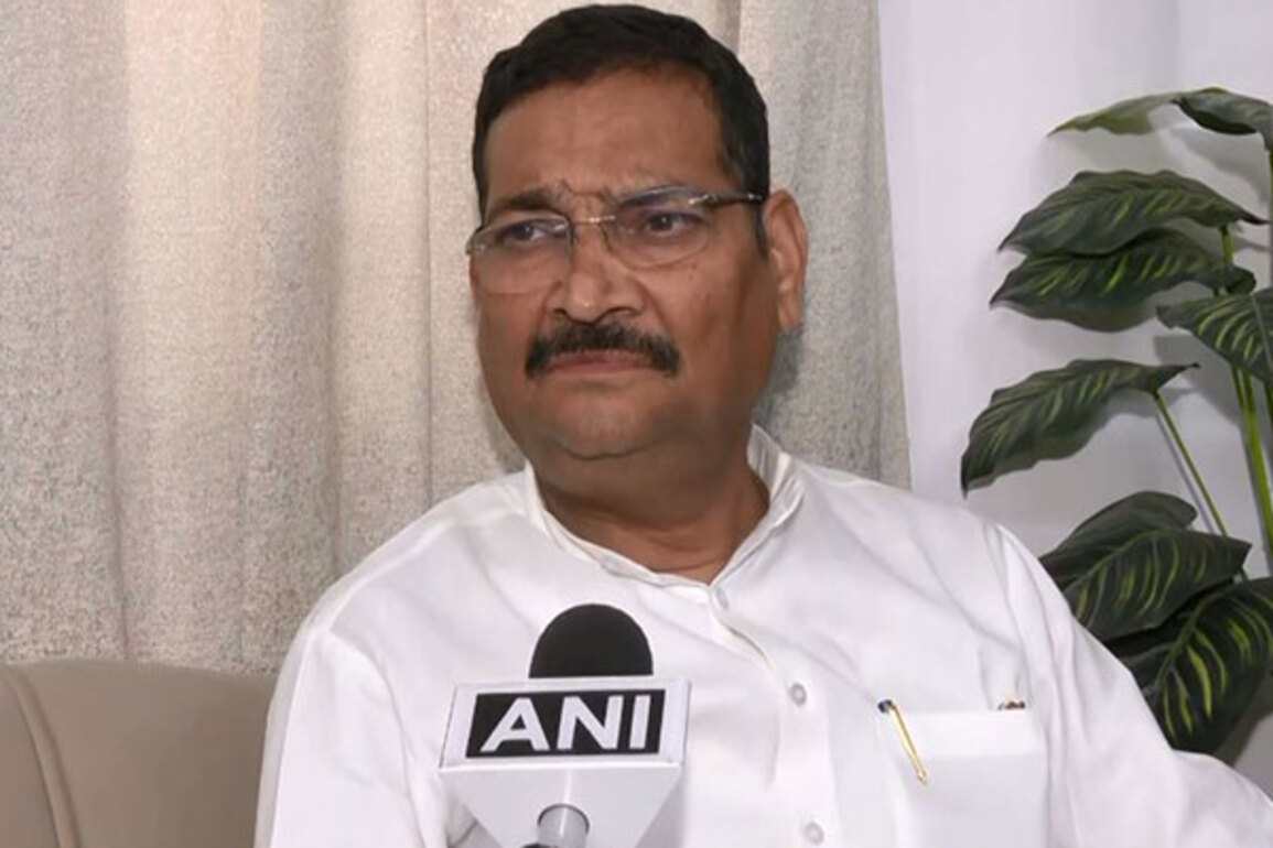 New Bill will help India achieve critical minerals mission: BJP MP and panel member Deepak Prakash