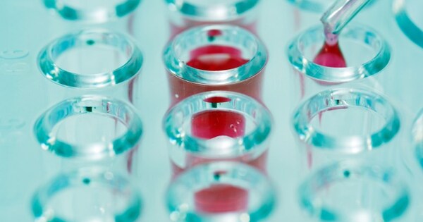Partner Insight: I&I therapies hit new milestones for patients and investors - Vimarsana News