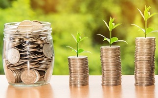 Elston launches range of sustainable model portfolios based entirely on SDR funds