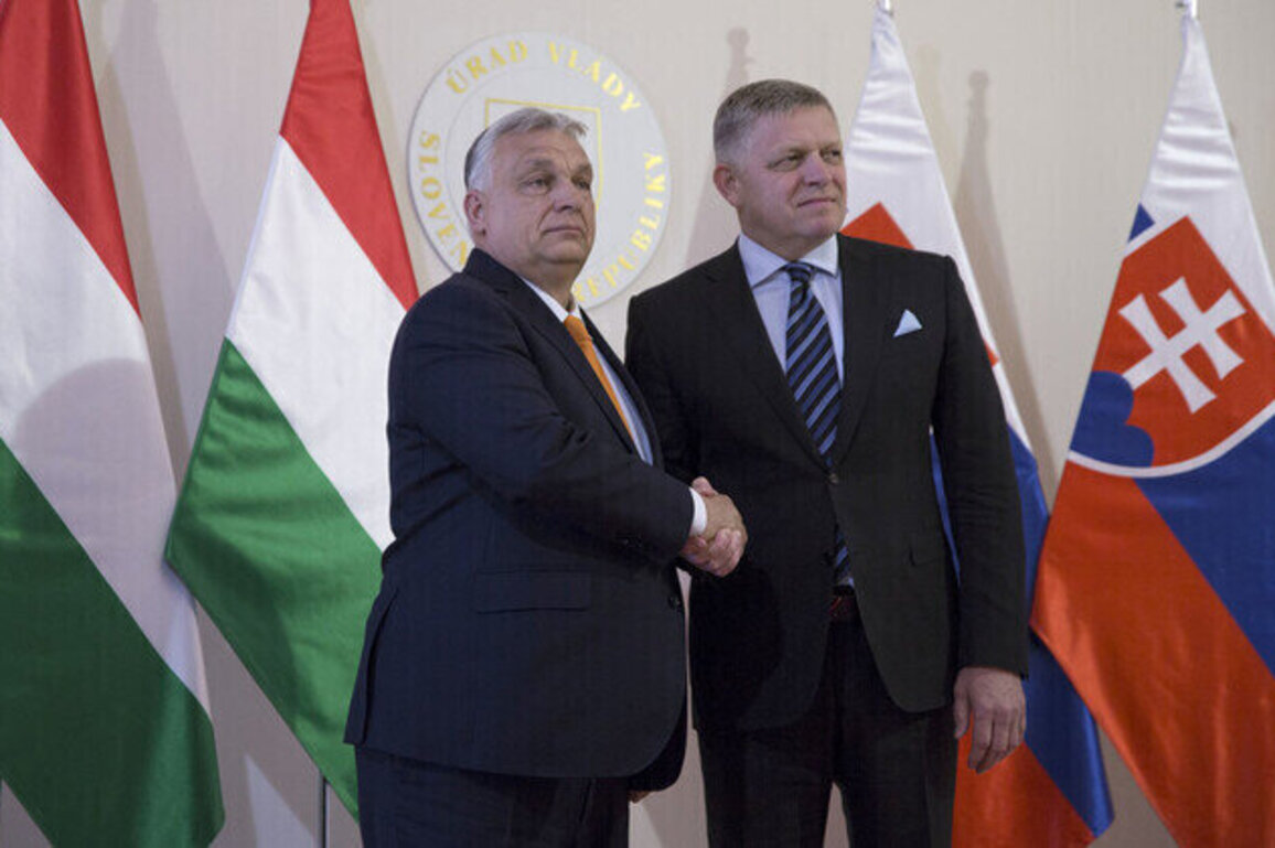 Hungary seeking anti-Ukraine alliance  Orban aide