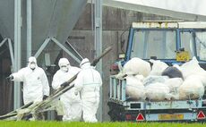 Officials issue warning following further avian flu cases