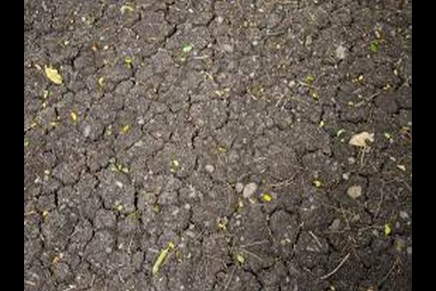 North Korea faces severe drought, UN expresses concern