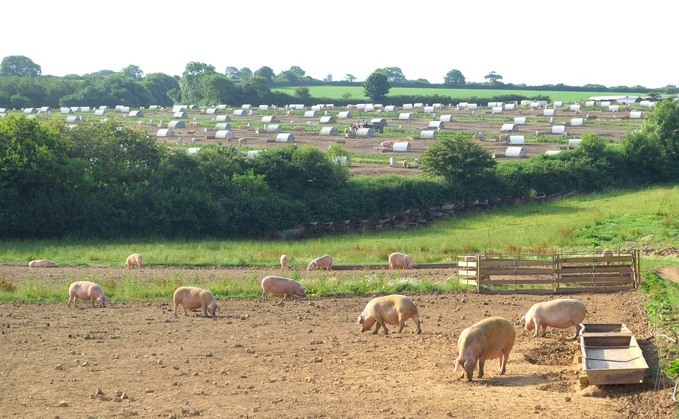Farm business 