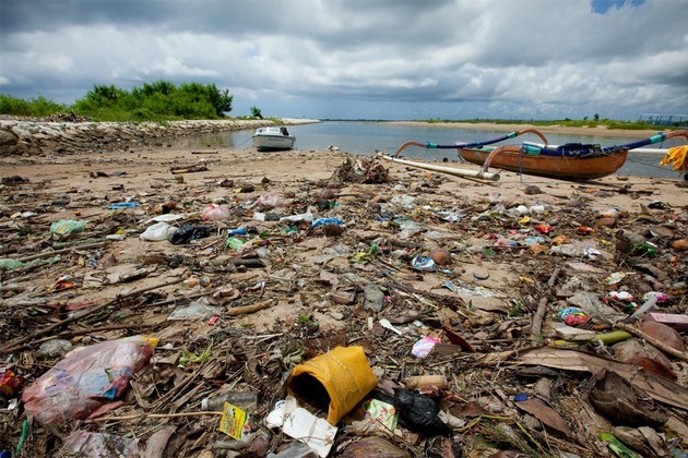 'Make human rights the priority in all conservation efforts' ' UN experts urge governments