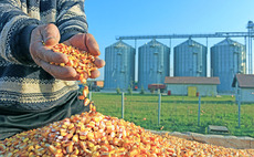 Rabo launches food and agriculture venture fund